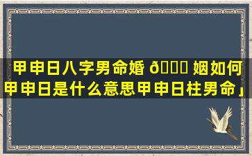 甲申日八字男命婚 🐕 姻如何「甲申日是什么意思甲申日柱男命」